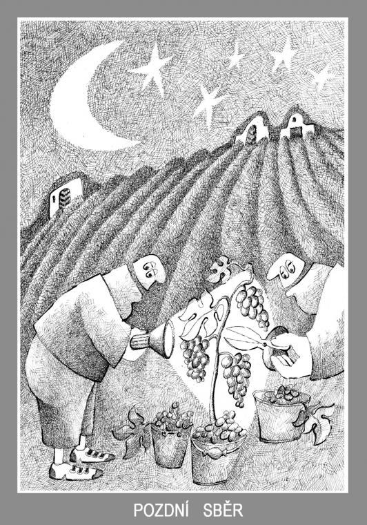 3.-4. místo Jiří Srna