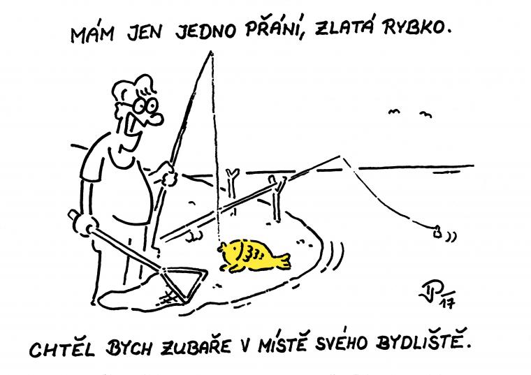 4. - 5. místo Jiří Pirkl