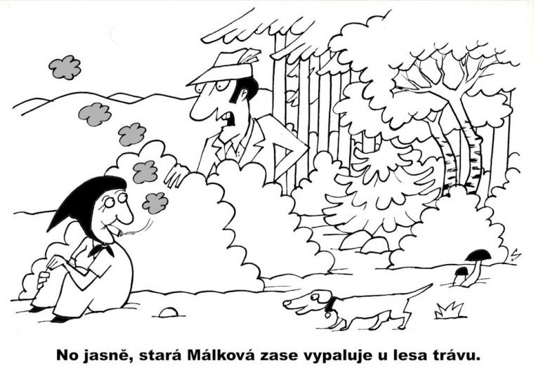 5.-12. místo Radek Steska