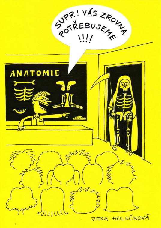 13.-18. místo Jitka Holečková