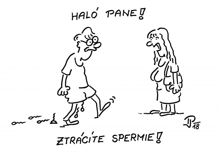 5.-12. místo Jiří Pirkl